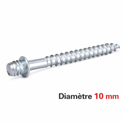 50 Pattes à Vis - M10 X 70 2