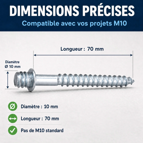 50 Pattes à Vis - M10 X 70