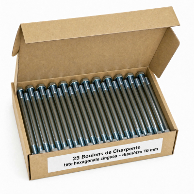 25 Boulons de Charpente tête hexagonale zingués - diamètre 16 mm