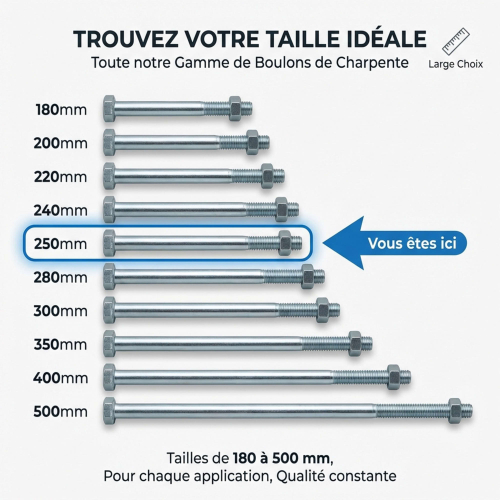 25 Boulons de Charpente tête hexagonale zingués - diamètre 16 mm