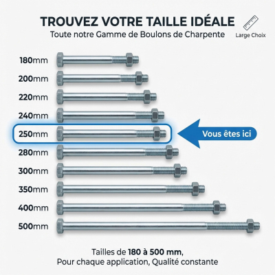 25 Boulons de Charpente tête hexagonale zingués - diamètre 16 mm