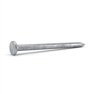 Pointe lisse galvanisée à chaud (HDG) en vrac tête plate (TP) 2,0 x 35 mm - 2,5 kg - TP200355 Alsafix