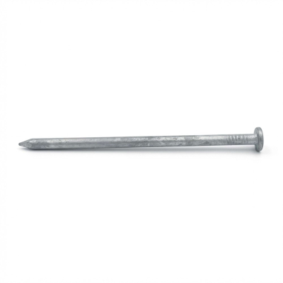 Pointe Lisse Galvanisée à Chaud (HDG) en Vrac Tête Plate (TP) Alsafix - D. 2,8 mm - 5 kg