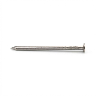 Pointe Annelée INOX A4 en Vrac Tête Plate (TP) 2,8/3,1 x 1 kg Alsafix
