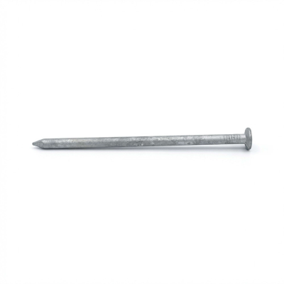 Pointe Lisse Galvanisée à Chaud (HDG) en Vrac Tête Plate (TP) Alsafix - Diamètre 5,0 mm - 5 kg