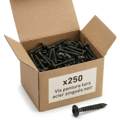 250 Vis Penture Torx acier zingués Noir - diamètre 5 mm