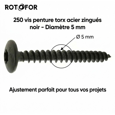 250 Vis Penture Torx acier zingués Noir - diamètre 5 mm 2