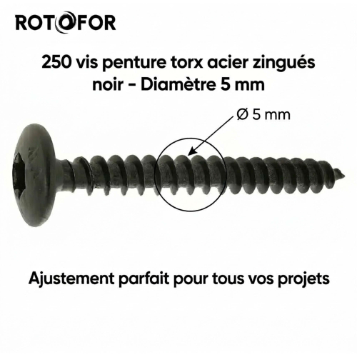 250 Vis Penture Torx acier zingués Noir - diamètre 5 mm