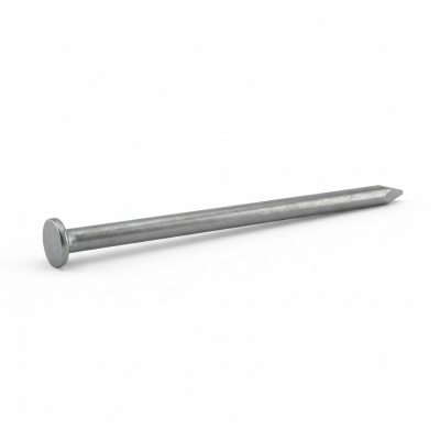 Pointe Lisse en Vrac Tête Plate (TP) Alsafix D. 3,1 mm - 1 Kg