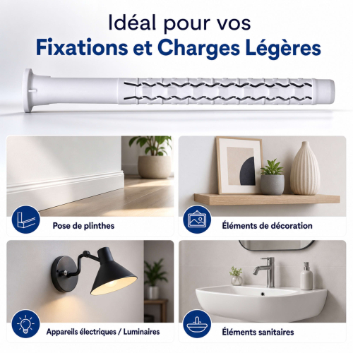 100 chevilles universelles longues - 6.0 x 60