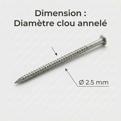 Pointes / Clous annelés tête bombée Inox A2 - Diam 2.5 mm - 1kg (environ 500-700 pcs) 2