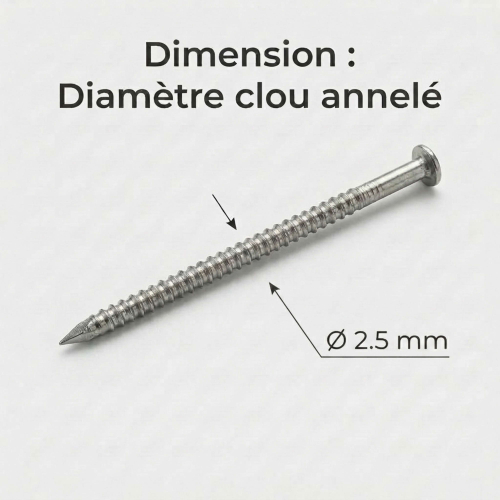 Pointes / Clous annelés tête bombée Inox A2 - Diam 2.5 mm - 1kg (environ 500-700 pcs)