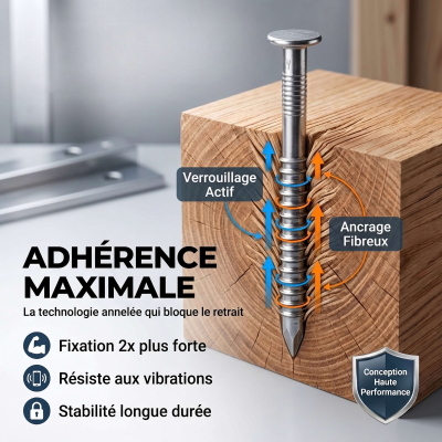 Pointes / Clous annelés tête bombée Inox A2 - Diam 2.5 mm - 1kg (environ 500-700 pcs)
