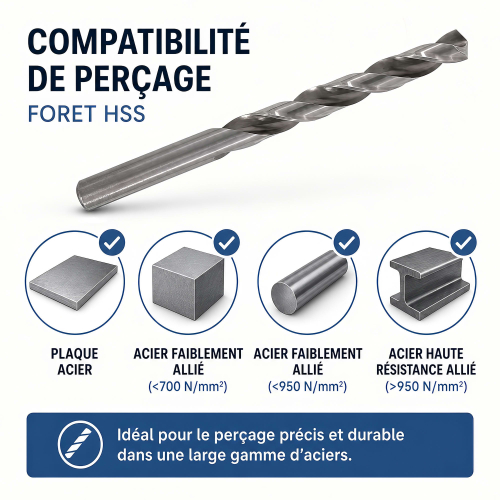 10 Forets HSS (pour acier/metal) 300X en tube accrochable