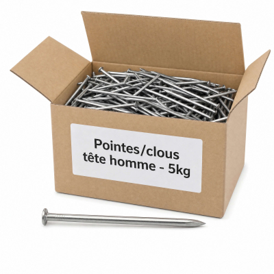Pointes/clous tête homme - 5kg