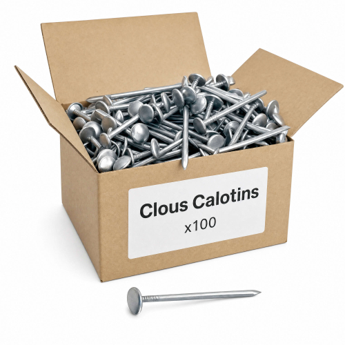 100 Clous Calotins - diamètre 3 mm X 70 mm