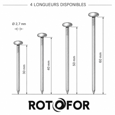 50 Clous Calotins - diamètre 2,7 mm 2