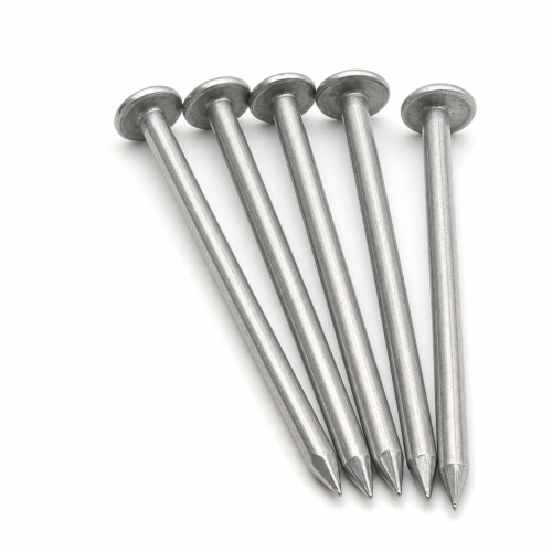 50 Clous Calotins - diamètre 2,7 mm