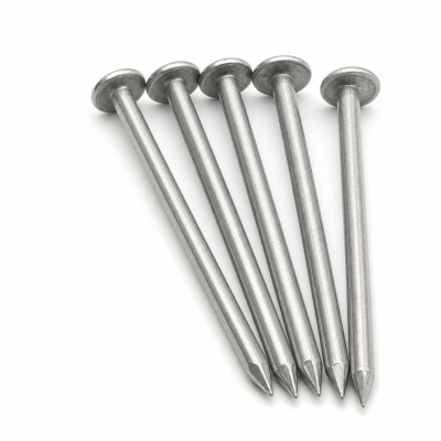 50 Clous Calotins - diamètre 2,7 mm
