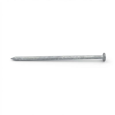 Alsafix Pointe Lisse en Vrac Tête Plate (TP) D. 7,0 mm - 5 Kg