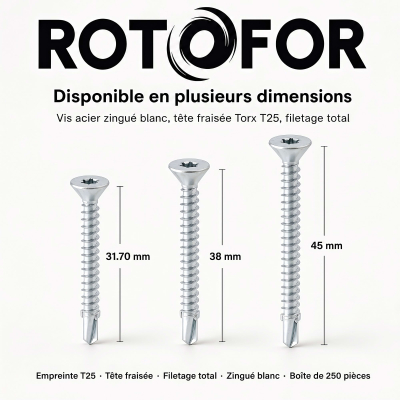 250 Vis Autoperceuses acier Ailettes tête fraisée Torx - diamètre 4,8 mm 2