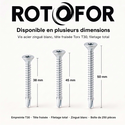 250 Vis autoperceuses acier Ailettes tête fraisée Torx - diamètre 5,5 mm 2