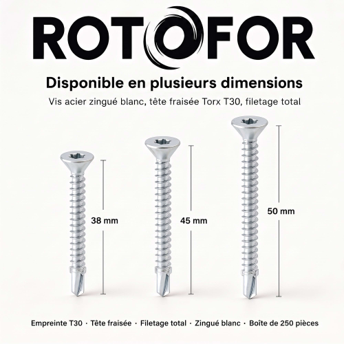 250 Vis autoperceuses acier Ailettes tête fraisée Torx - diamètre 5,5 mm