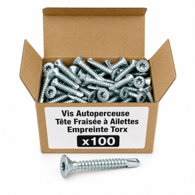 100 vis autoperceuses acier Ailettes tête fraisée Torx - diamètre 6,3 mm