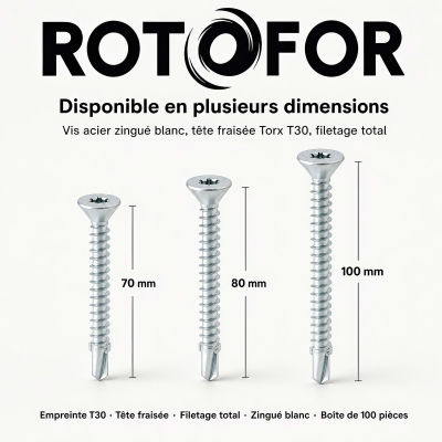 100 vis autoperceuses acier Ailettes tête fraisée Torx - diamètre 6,3 mm 2