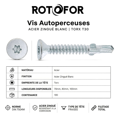 100 vis autoperceuses acier Ailettes tête fraisée Torx - diamètre 6,3 mm