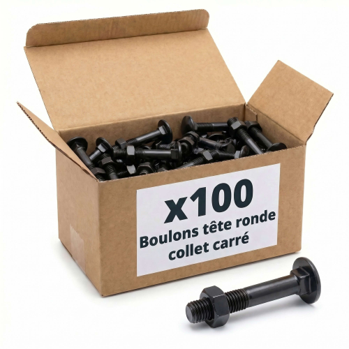 100 Vis tête ronde collet carré zingués Noir - longueur 70 mm
