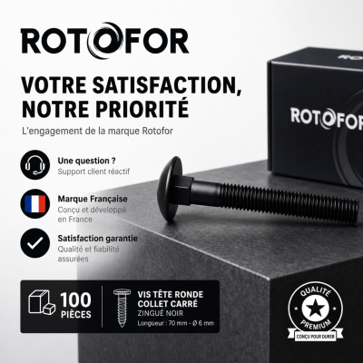 100 Vis tête ronde collet carré zingués Noir - longueur 70 mm