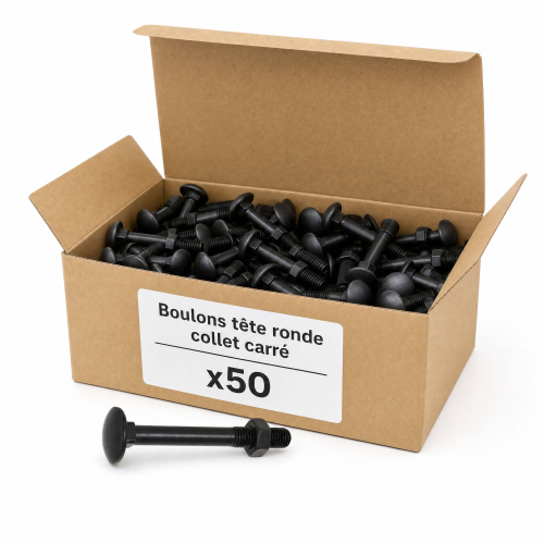 50 Boulons tête ronde collet carré DIN603/555 acier zingués Noir 6.0 X40