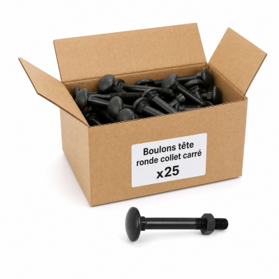 25 Boulons tête ronde collet carré DIN603/555 acier zingués Noir 6.0 X50