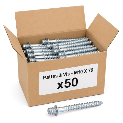 50 Pattes à Vis - M10 X 70
