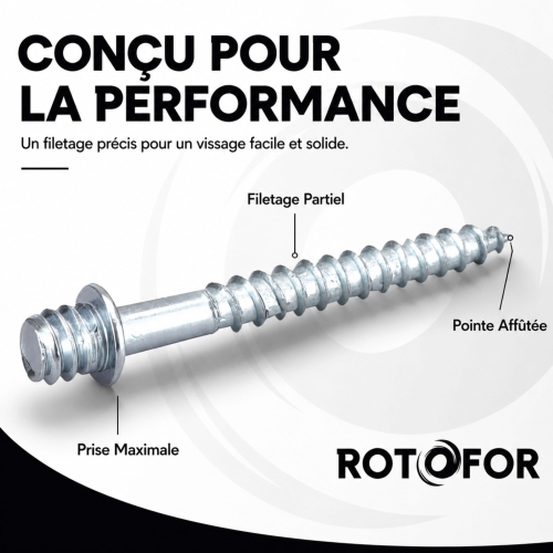 50 Pattes à Vis - M10 X 70