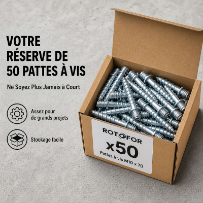 50 Pattes à Vis - M10 X 70