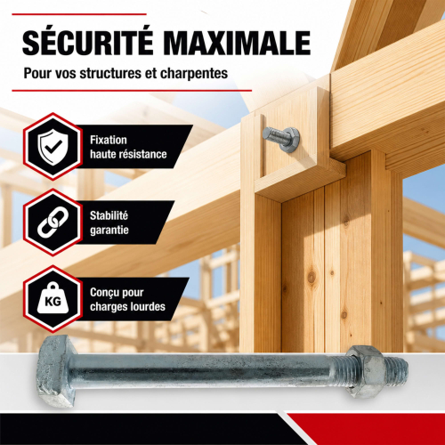 25 Boulons Charpente tête carrée Z, - Ecrous diamètre 16 mm