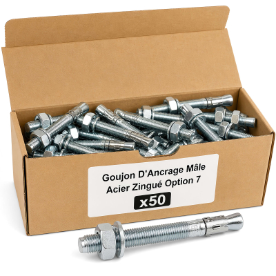 50 Goujon D'Ancrage Mâle Acier Zingué Option 7 - Diamètre 10