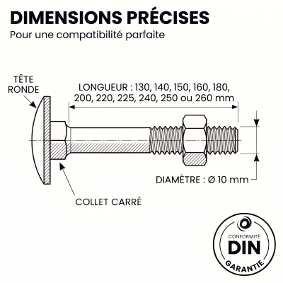 25 Boulons - tête ronde collet carré DIN603/555 acier zingués blanc diamètre 10,0 mm 2