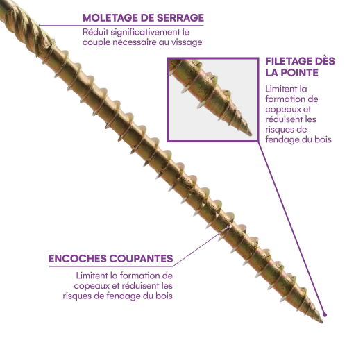 50 Vis bois Torx à tête bombée expert - Acier galvanisée - Diamètre 8 mm - anti-fendage - moletage de serrage