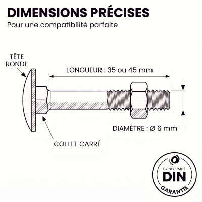 200 Boulons tête ronde collet carré DIN603/555 acier zingués blanc diamètre 6,0 mm 2