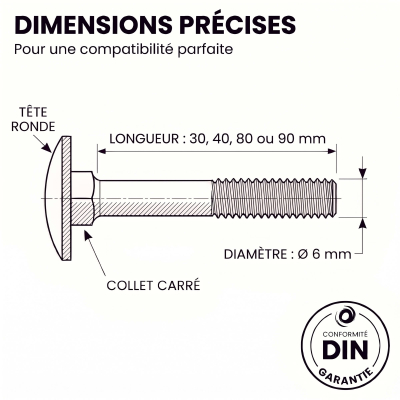 20 Boulons tête ronde collet carré DIN603/555 acier zingués blanc diamètre 6,0 mm 2