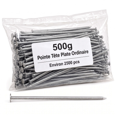Pointe Tête Plate Ordinaire 1,2 × 20 mm - Boîte de 500 g (~2 600 Clous)
