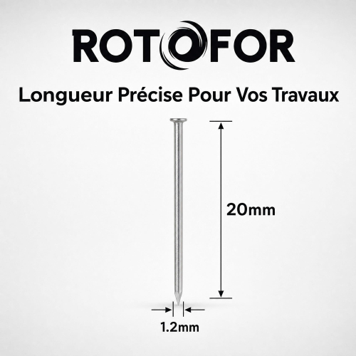 Pointe Tête Plate Ordinaire 1,2 × 20 mm - Boîte de 500 g (~2 600 Clous)