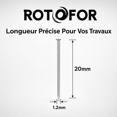 Pointe Tête Plate Ordinaire 1,2 × 20 mm - Boîte de 500 g (~2 600 Clous)