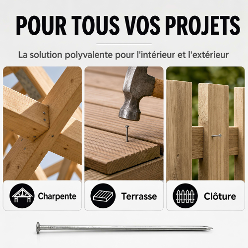 Pointe Tête Plate Ordinaire 1,2 × 20 mm - Boîte de 500 g (~2 600 Clous)