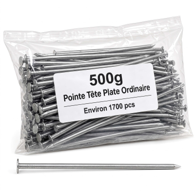Pointe Tête Plate Ordinaire 1,3 × 25 mm - Boîte de 500 g (~1 700 Clous)