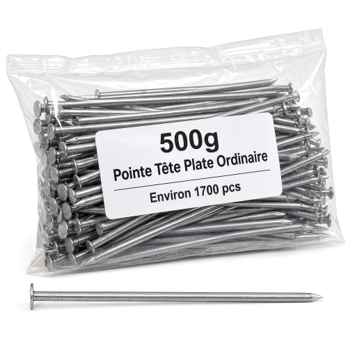 Pointe Tête Plate Ordinaire 1,3 × 25 mm - Boîte de 500 g (~1 700 Clous)