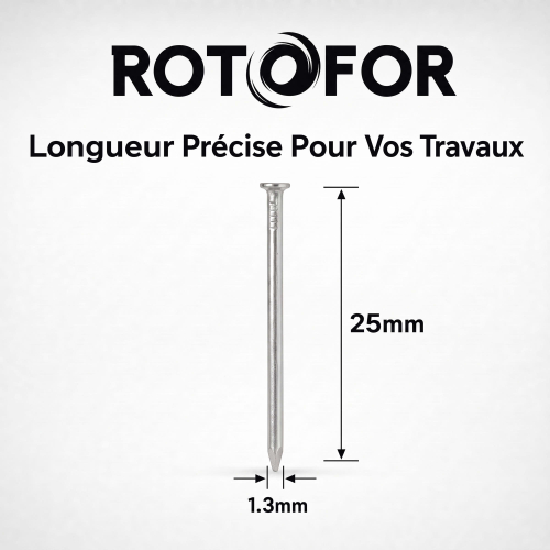 Pointe Tête Plate Ordinaire 1,3 × 25 mm - Boîte de 500 g (~1 700 Clous)
